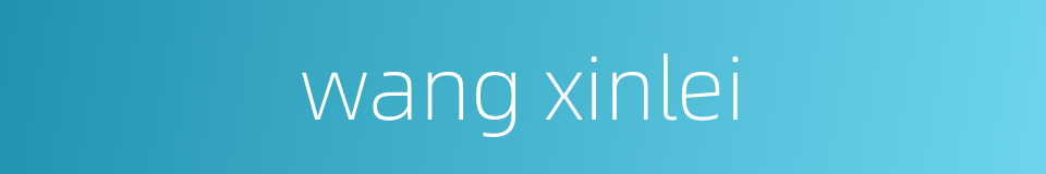 wang xinlei的同义词