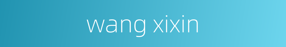 wang xixin的同义词