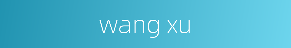 wang xu的同义词