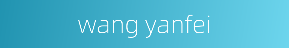 wang yanfei的同义词