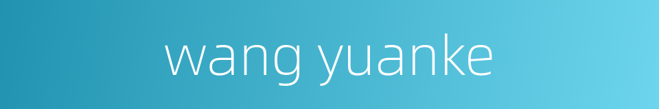 wang yuanke的同义词