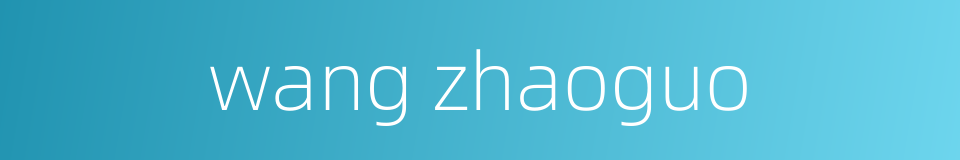 wang zhaoguo的同义词