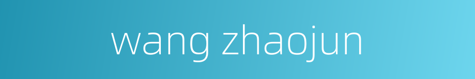 wang zhaojun的同义词