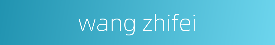 wang zhifei的同义词