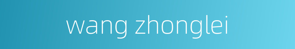 wang zhonglei的同义词