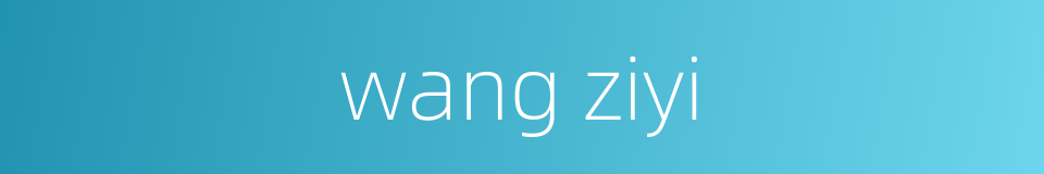 wang ziyi的同义词