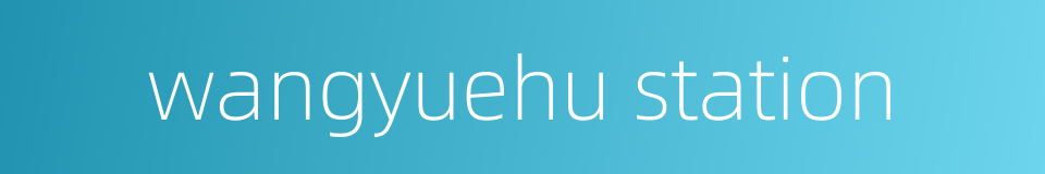 wangyuehu station的同义词