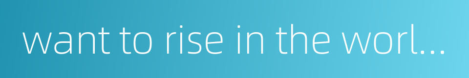 want to rise in the world and become a person of importance的同义词