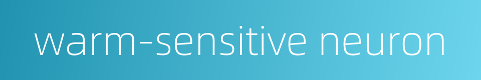 warm-sensitive neuron的同义词