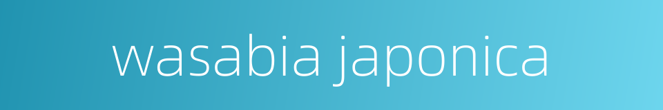 wasabia japonica的同义词
