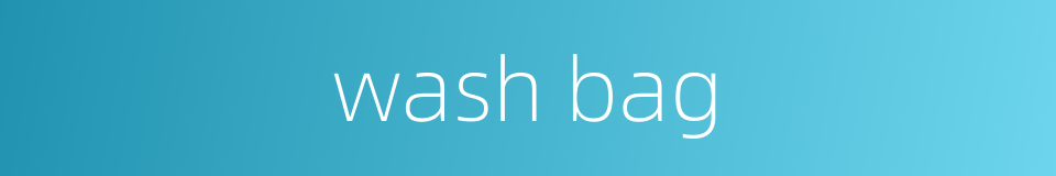 wash bag的同义词