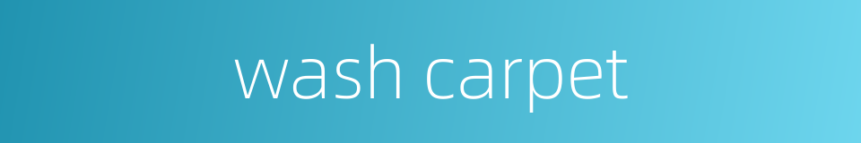 wash carpet的同义词