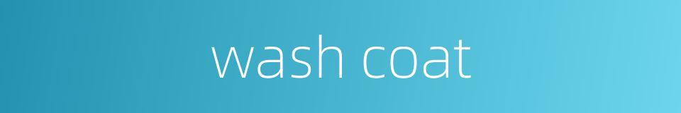 wash coat的同义词