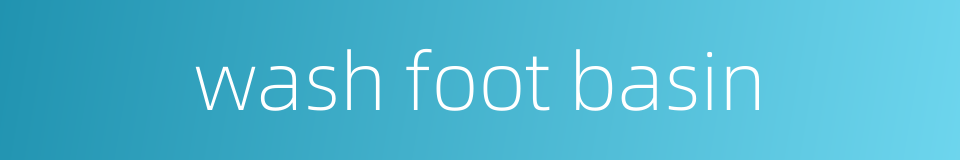 wash foot basin的同义词