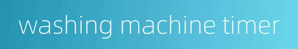 washing machine timer的同义词