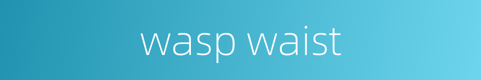 wasp waist的同义词