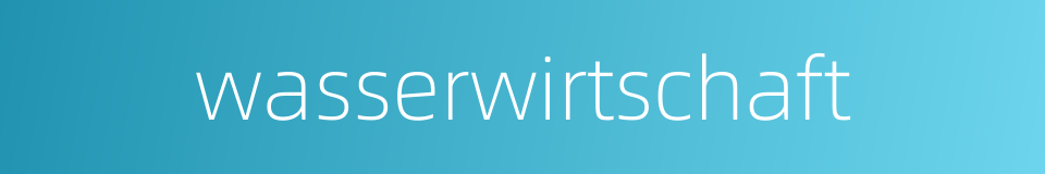 wasserwirtschaft的同义词