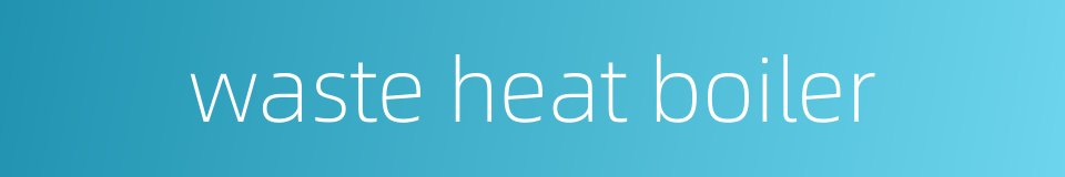 waste heat boiler的同义词
