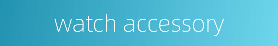 watch accessory的同义词
