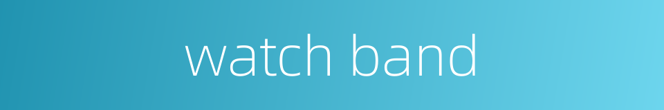 watch band的同义词