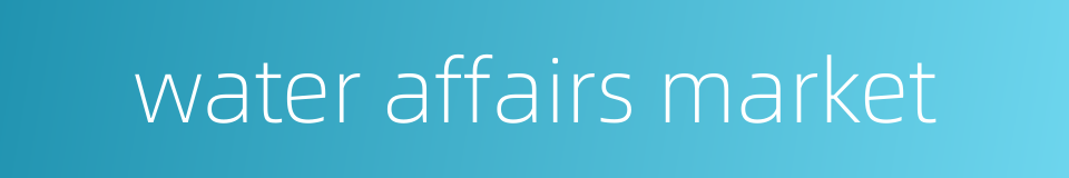 water affairs market的同义词