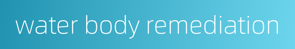 water body remediation的同义词