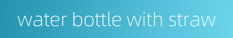 water bottle with straw的同义词