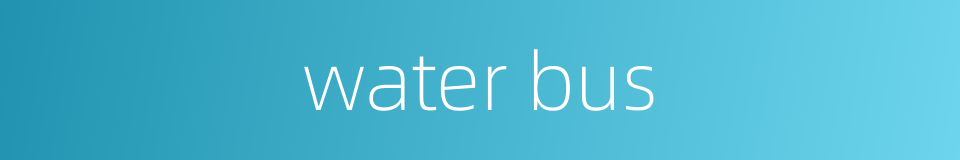 water bus的同义词