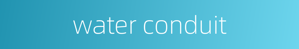 water conduit的同义词