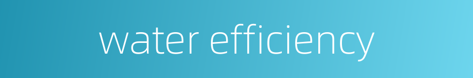 water efficiency的同义词