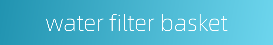 water filter basket的同义词