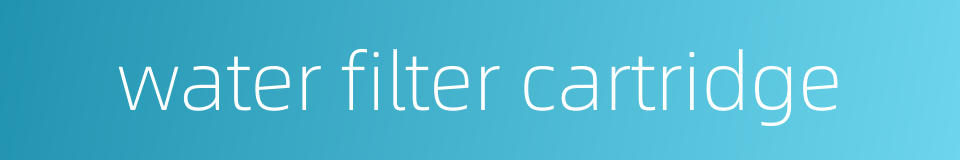 water filter cartridge的同义词