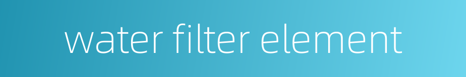 water filter element的同义词