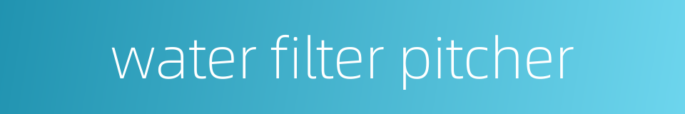 water filter pitcher的同义词