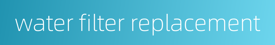 water filter replacement的同义词