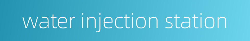water injection station的同义词