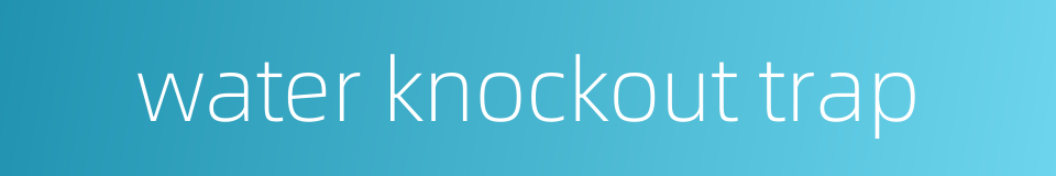 water knockout trap的同义词