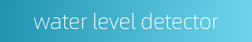 water level detector的同义词