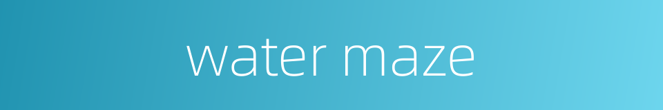 water maze的同义词