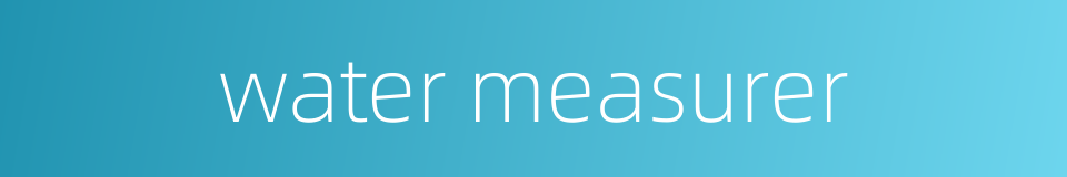 water measurer的同义词