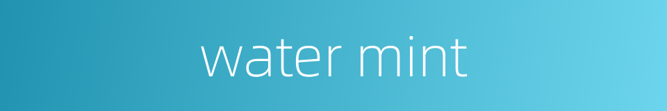 water mint的同义词