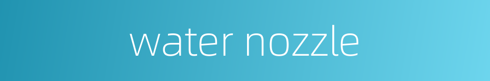 water nozzle的同义词