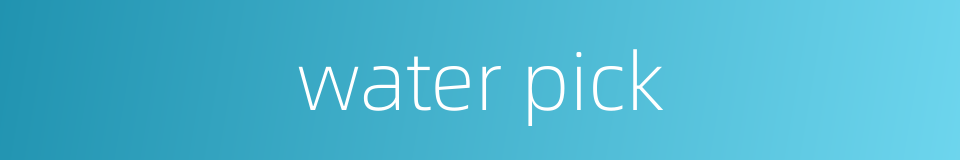 water pick的同义词