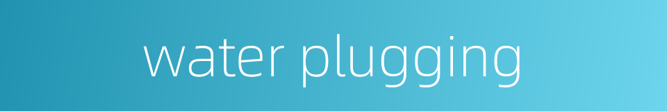 water plugging的同义词