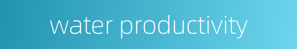 water productivity的同义词