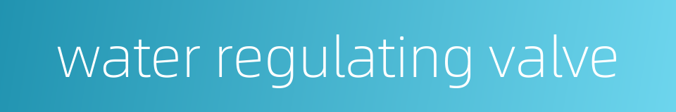 water regulating valve的同义词