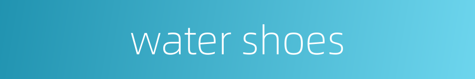 water shoes的同义词
