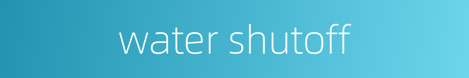 water shutoff的同义词