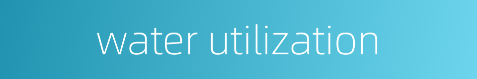 water utilization的同义词
