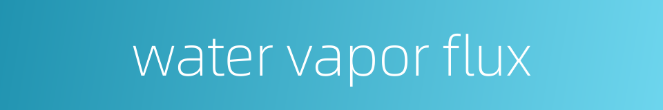 water vapor flux的同义词